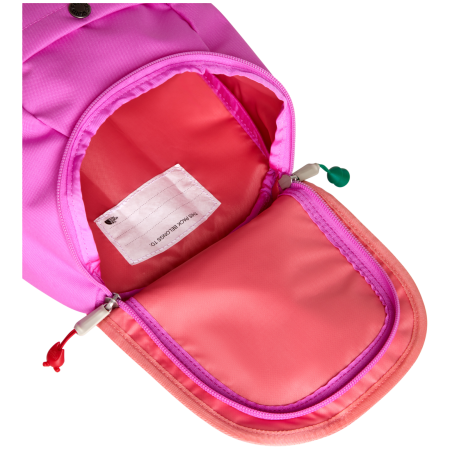 Detský batoh The North Face Y Mini Explorer