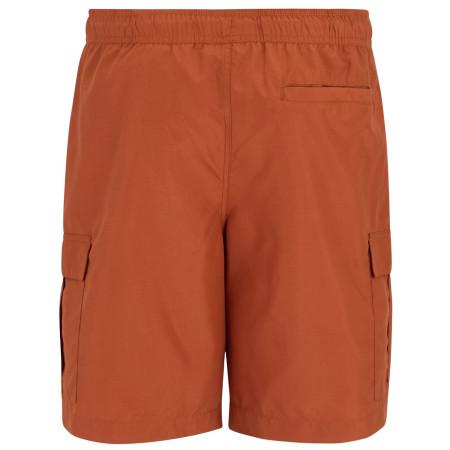 Pánske plavky Regatta Blanmont Swim Short