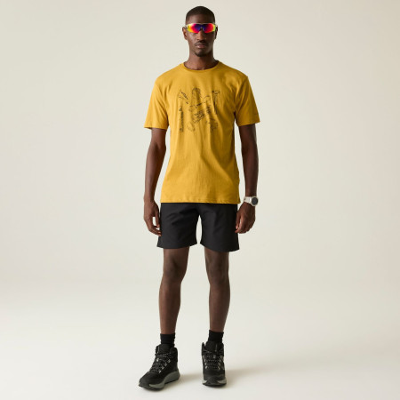 Pánske tričko Dare 2b Movement III Tee