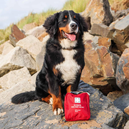 Lekárnička pre psov Mountain Paws Ultimate Dog First Aid Kit