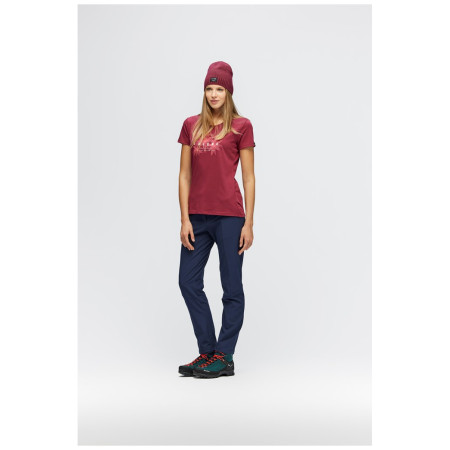 Dámske nohavice Salewa TERMINAL DST W PNT