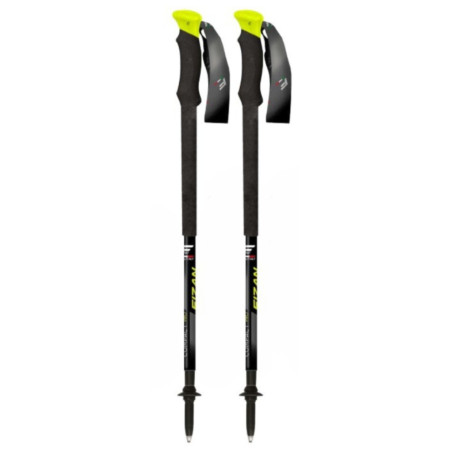 Trekové palice Fizan Compact Pro
