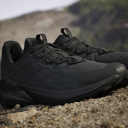 Pánske turistické topánky Adidas Terrex Trailmaker 2 Leather