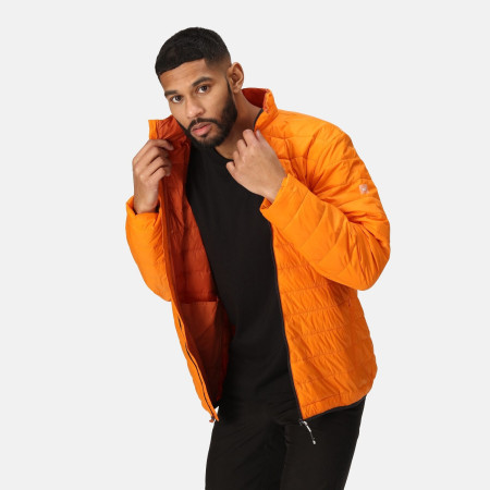 Pánska bunda Regatta Hillpack