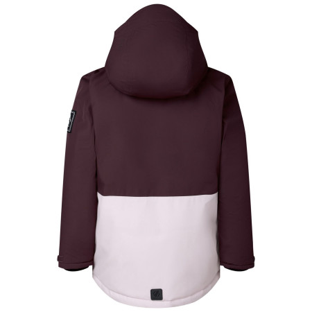 Detská bunda Dare 2b Wing It Jacket Hucklbr/PkHz