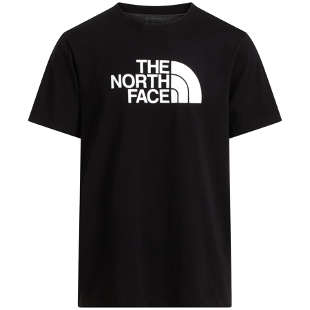 Pánske tričko The North Face Evolution Half Dome Regular Short Slee