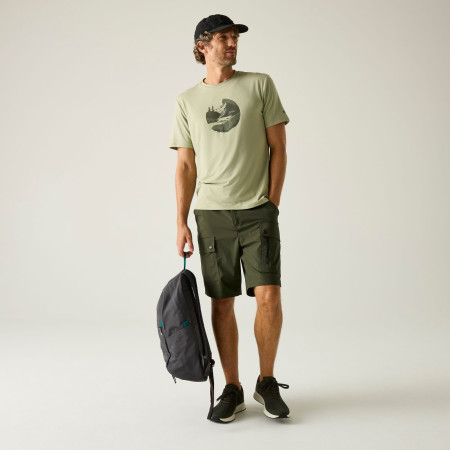 Pánske kraťasy Regatta Arlery Shorts