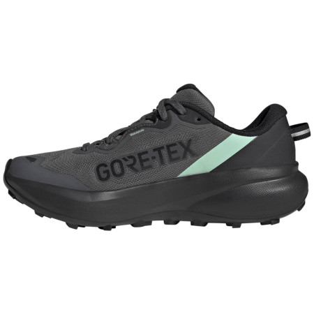 Dámske bežecké topánky Adidas Terrex Tracefinder Plus Gtx