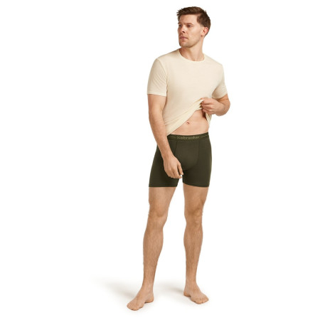 Pánske boxerky Icebreaker Mens Anatomica Boxers