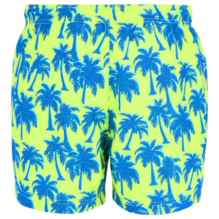Pánske plavky Regatta Loras Swim Short