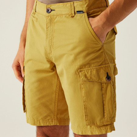 Pánske kraťasy Regatta Shorebay Shorts II