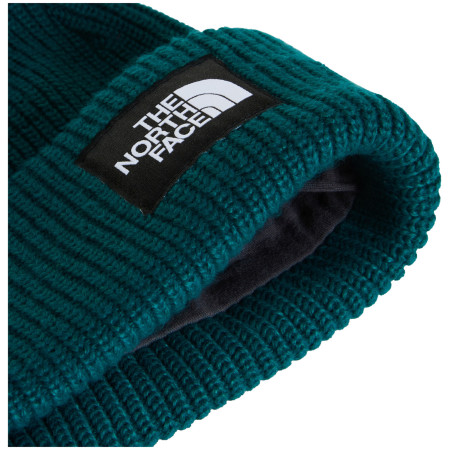 Čiapka The North Face Salty Lined Beanie