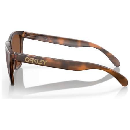 Slnečné okuliare OAKLEY Frogskin Prizm Tungsten