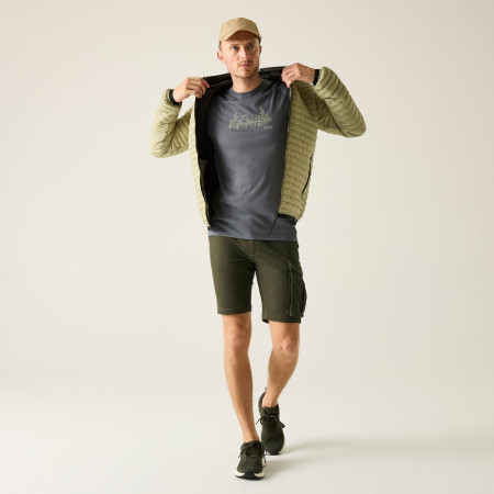 Pánske kraťasy Regatta Bendrick Shorts