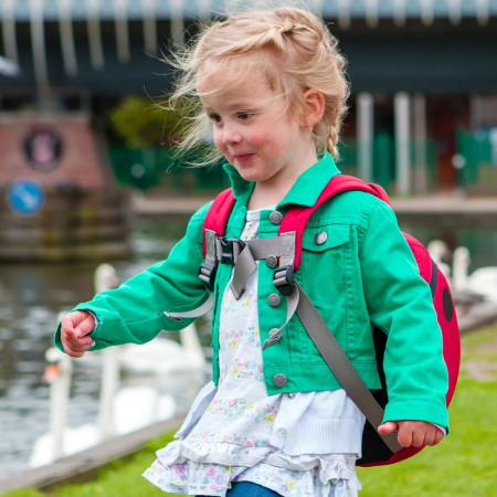 Detský batoh LittleLife Children´s Backpack Ladybird