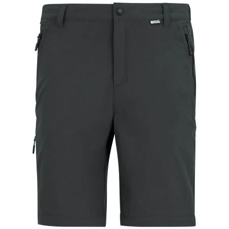Pánske nohavice Regatta Anti-Insect Travel Light Z/O Trousers