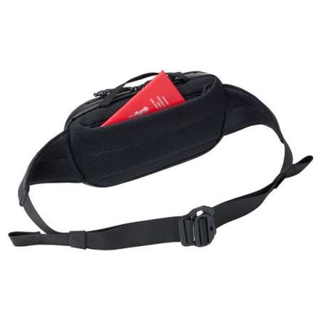 Ľadvinka Thule Aion