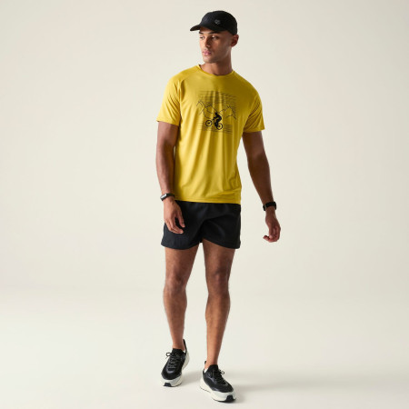 Pánske tričko Dare 2b Tech II Tee