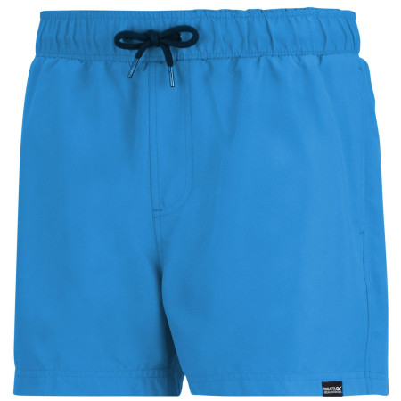 Pánske plavky Regatta Mawson Swim Shorts III