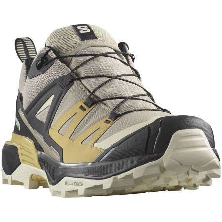 Pánske turistické topánky Salomon X Ultra 360 GTX
