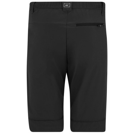 Pánske nohavice Regatta Mountain Z/O Trousers
