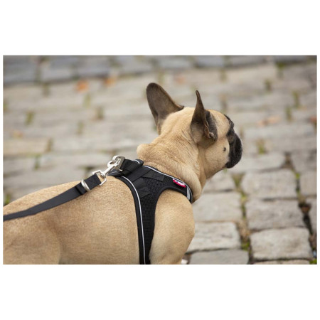 Vôdzka pre psa Curli Adjustable Leash Nylon