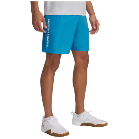 Pánske kraťasy Under Armour Woven Wdmk Shorts
