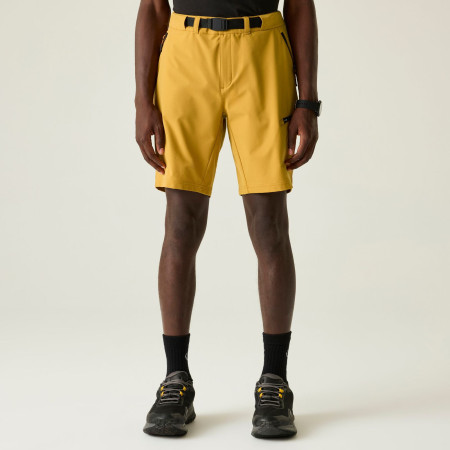 Pánske kraťasy Dare 2b Tuned In Pro II Short