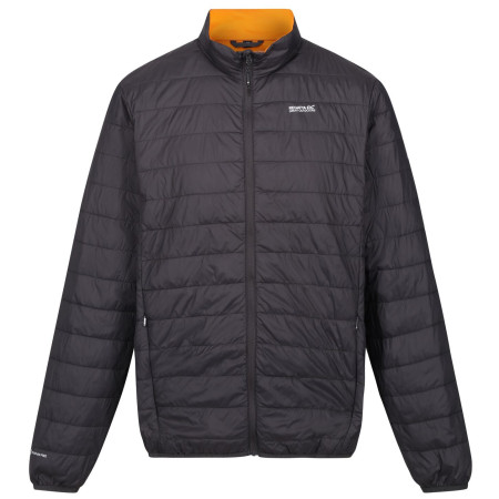 Pánska bunda Regatta Hillpack sivá Ash(Orange Pepper)
