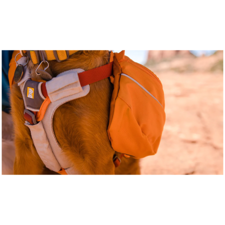 Batoh pre psa Ruffwear Approach™ Pack