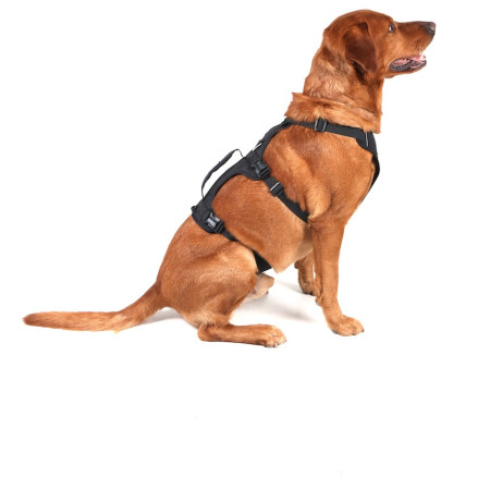 Postroj pre psa Mountain Paws 3-Strap Dog Harness