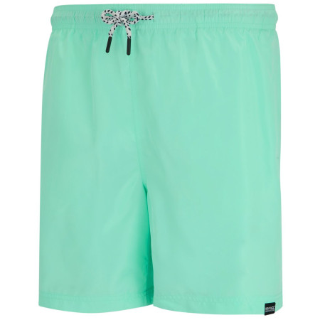 Pánske kraťasy Regatta Mackleyna Swim Short
