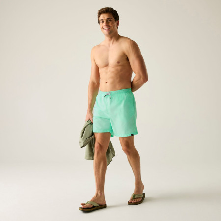 Pánske kraťasy Regatta Mackleyna Swim Short