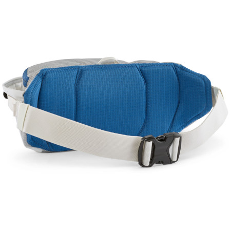 Ľadvinka Patagonia Black Hole Waist Pack 5L