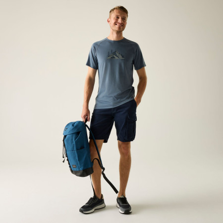 Pánske kraťasy Regatta Bendrick Shorts