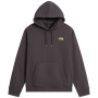 Pánska mikina The North Face U Nse Slopes Relaxed Hoodie - Graphic sivá ANTHRACITE GREY