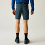 Pánske kraťasy Regatta Xert Stretch Shorts