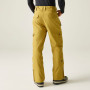 Pánske nohavice Dare 2b Baseplate Insulated Pant