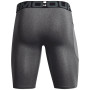 Pánske funkčné spodky Under Armour HG Armour Lng Shorts