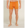 Pánske boxerky Icebreaker Mens Anatomica Boxers