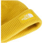 Čiapka The North Face Salty Lined Beanie
