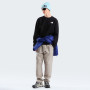 Pánska mikina The North Face M Evolution Box Nse Regular Crew