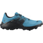 Pánske topánky Salomon Wildcross 2 Gore-Tex