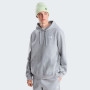 Pánska mikina The North Face M Evolution Simple Dome Regular Hoodie