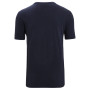 Pánske tričko Icebreaker Men Central Classic SS Tee