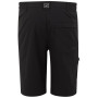 Pánske kraťasy Regatta Highton Shorts Long II