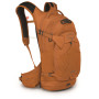 Batoh Osprey Raptor 14
