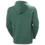 Pánska mikina Helly Hansen Core Graphic Hoodie