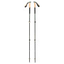 Trekové palice Black Diamond Trail Cork Trekking Poles