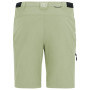 Pánske nohavice Regatta Anti-Insect Travel Light Z/O Trousers